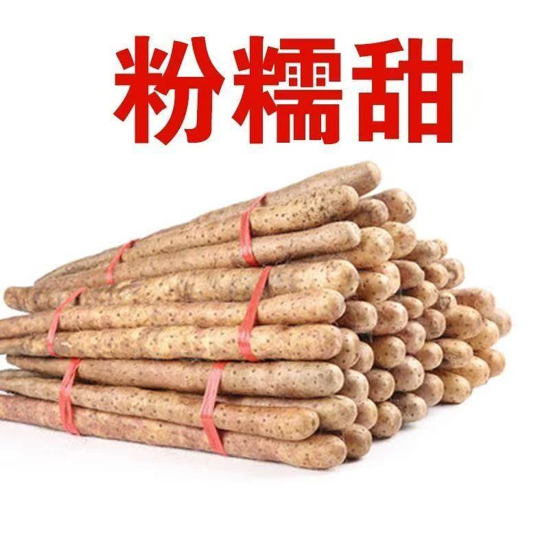铁棍山药粉糯香甜新鲜现挖好吃软糯优选带30箱五斤-40厘米