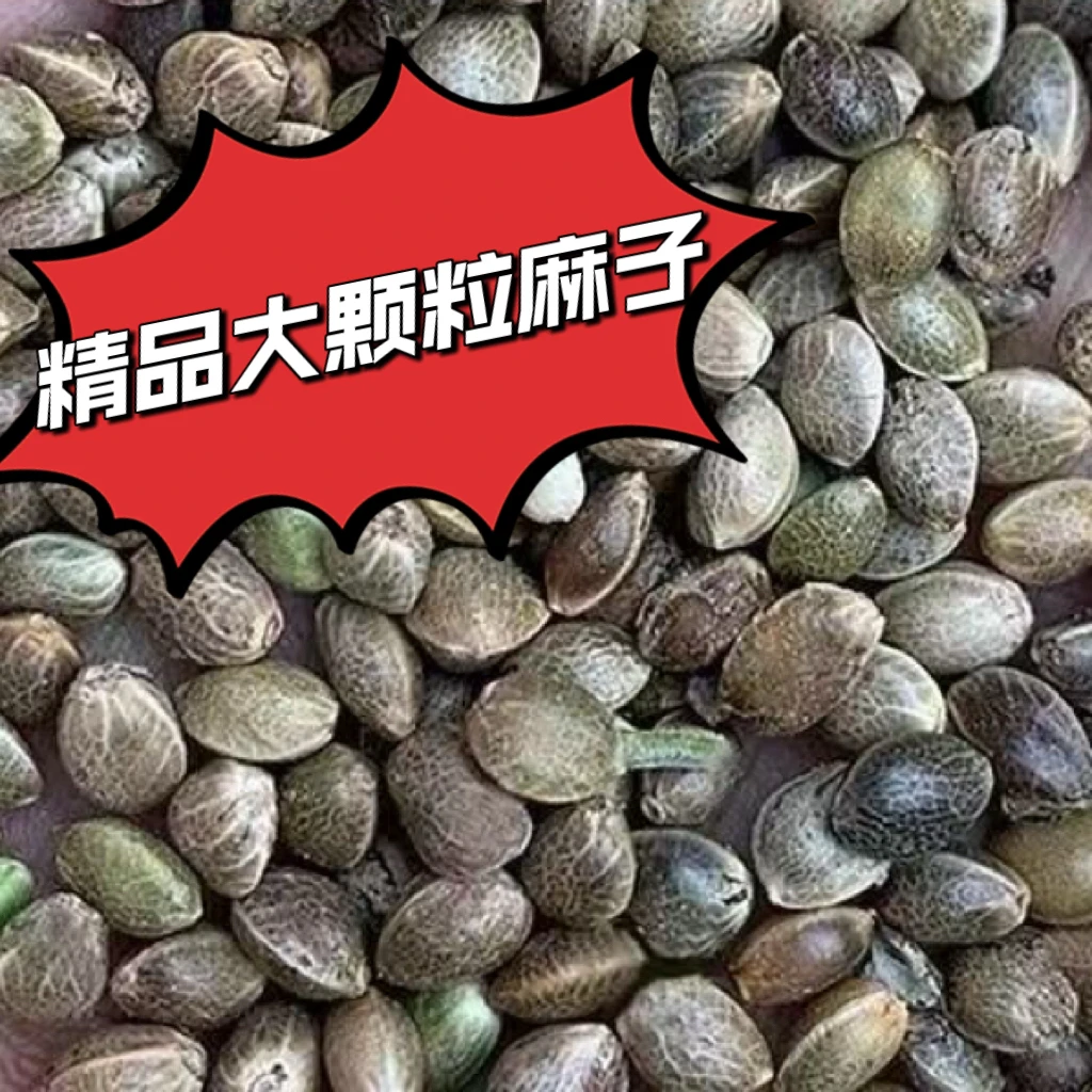 精品大颗粒麻子鹦鹉粮牡丹玄凤粮