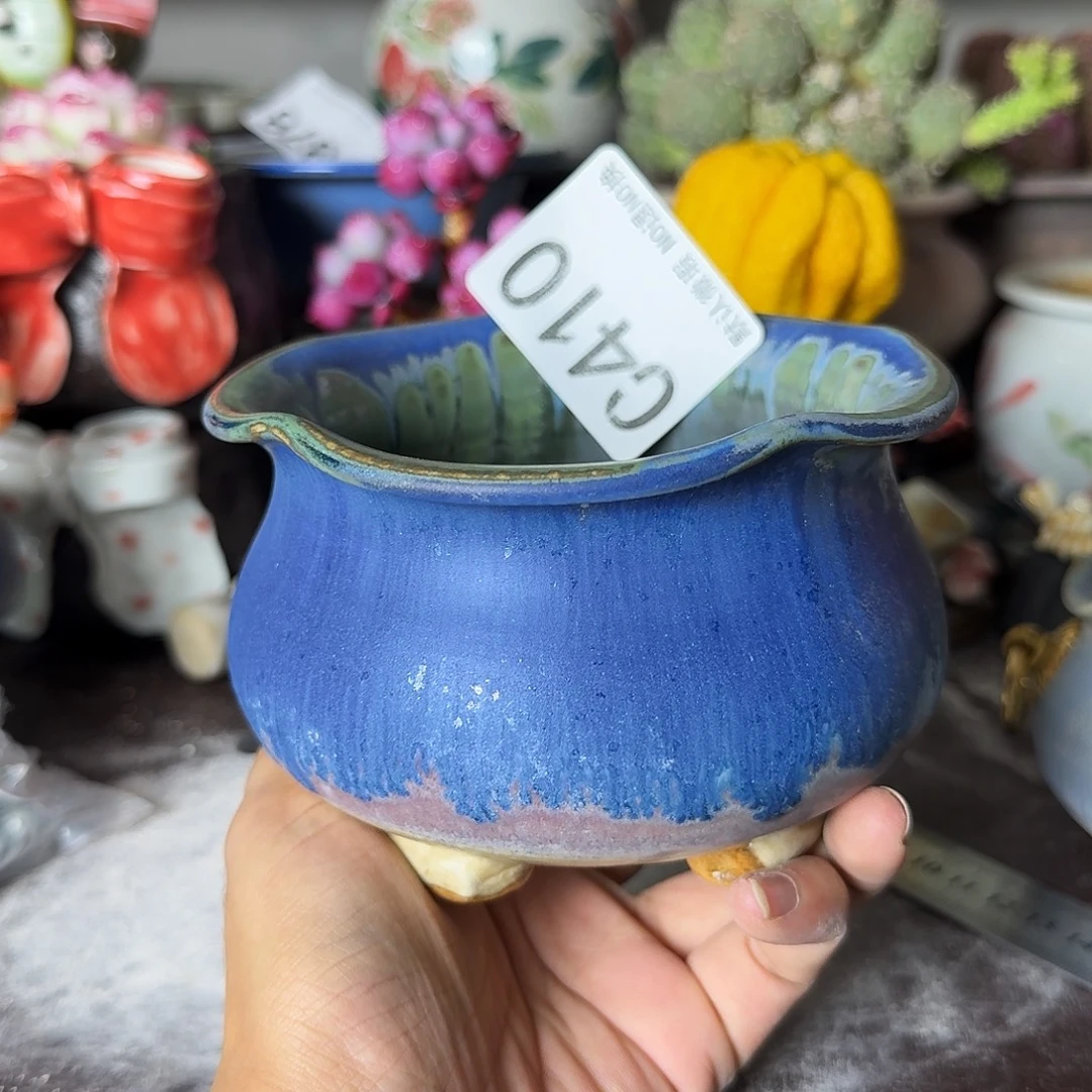 重庆小燕子欢迎大家410