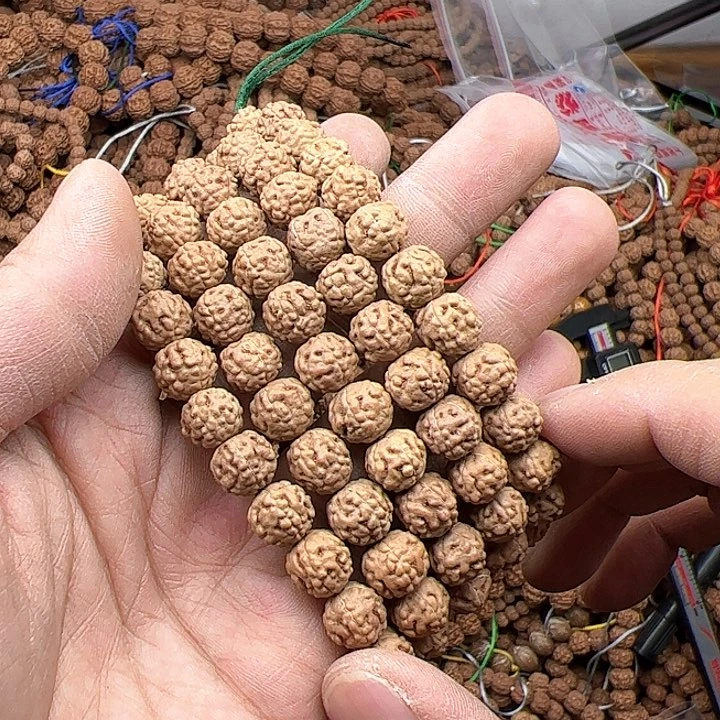 金刚菩提手串津***亮蛤蟆