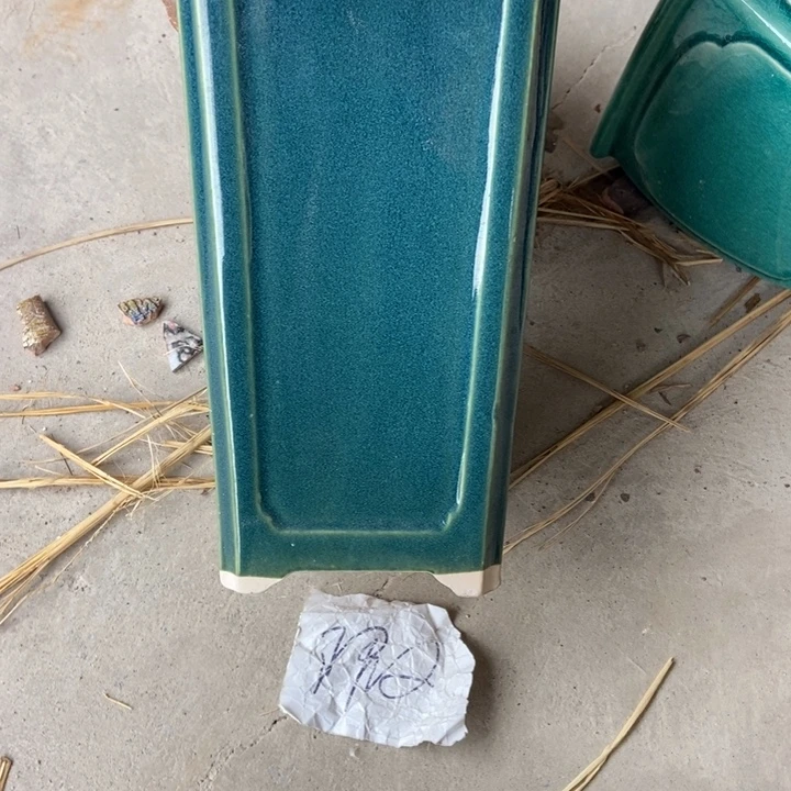 花盆花开了个小蛋糕
