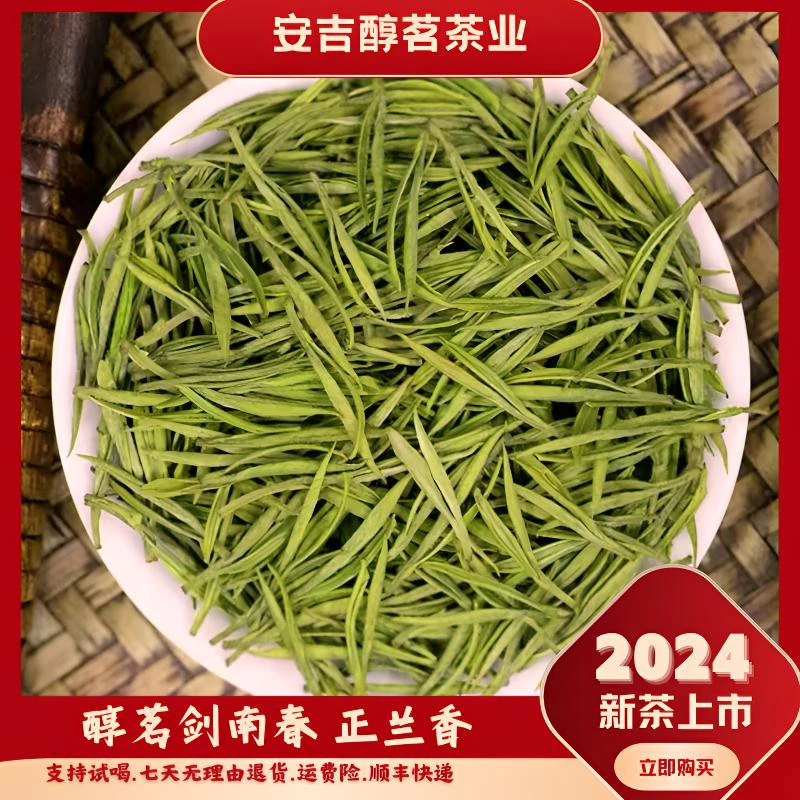 【剑兰香高山小芽】安吉昆铜明前芽头茶 安吉高山小芽兰花香气足