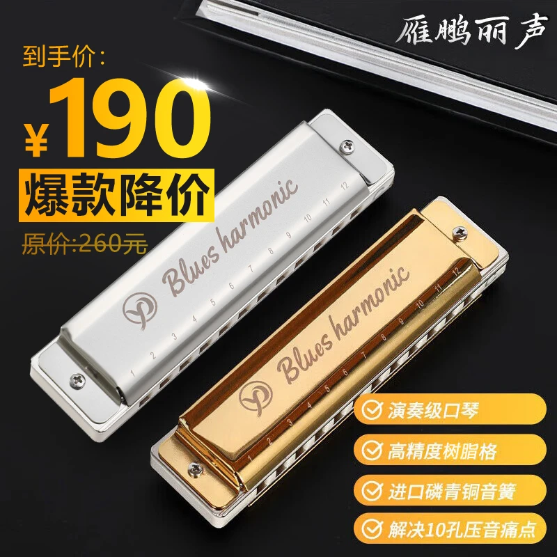 12孔布鲁斯口琴利底亚音阶！适合吹2把位！低音4中音4都改成了升4