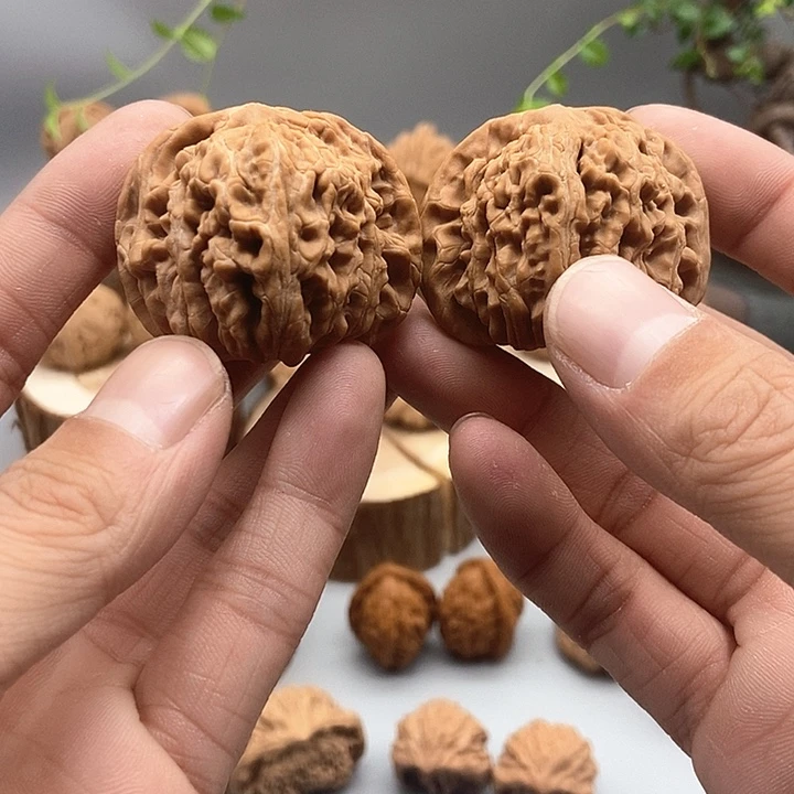 新年福利43尺全品四座楼