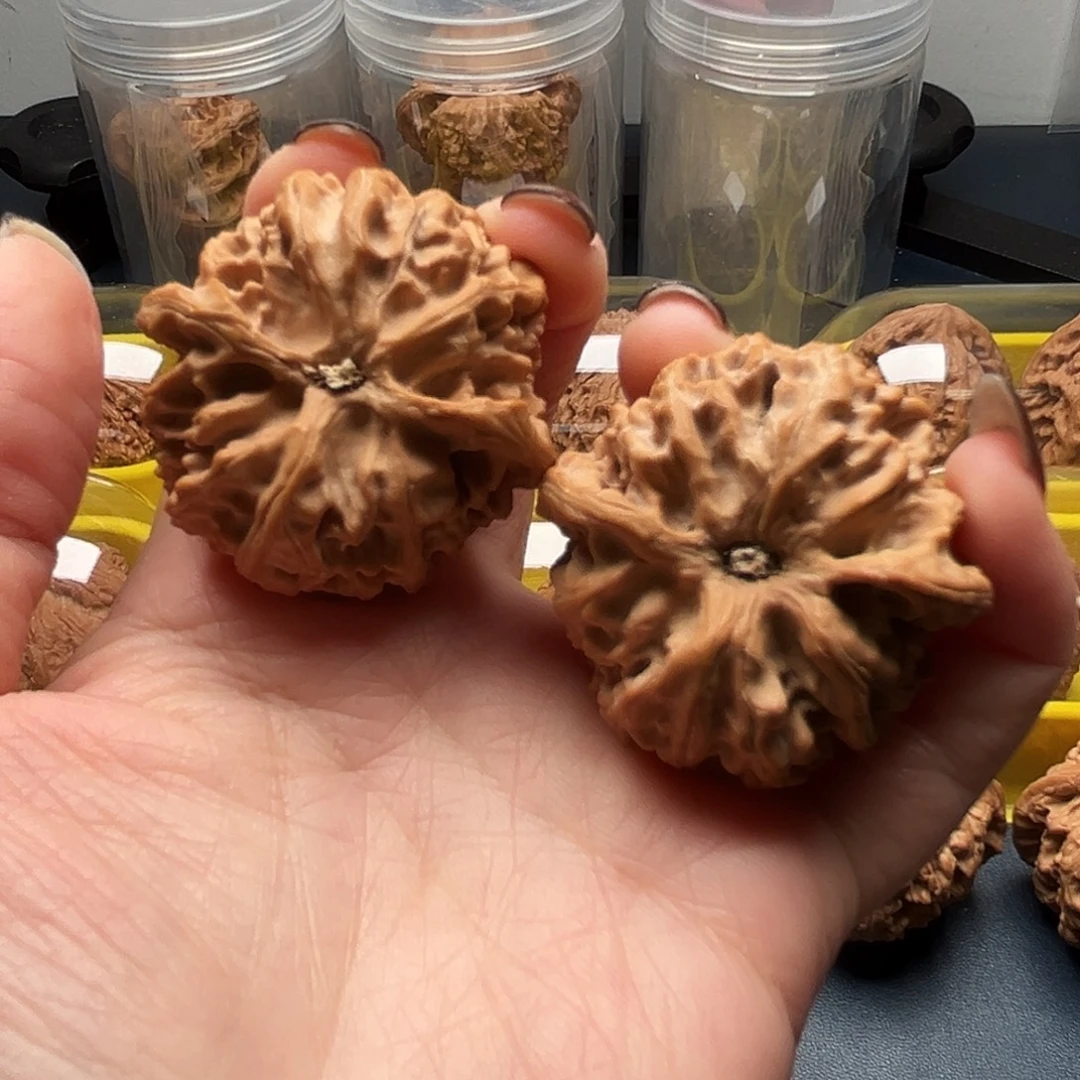 核桃40尺寸苹果园