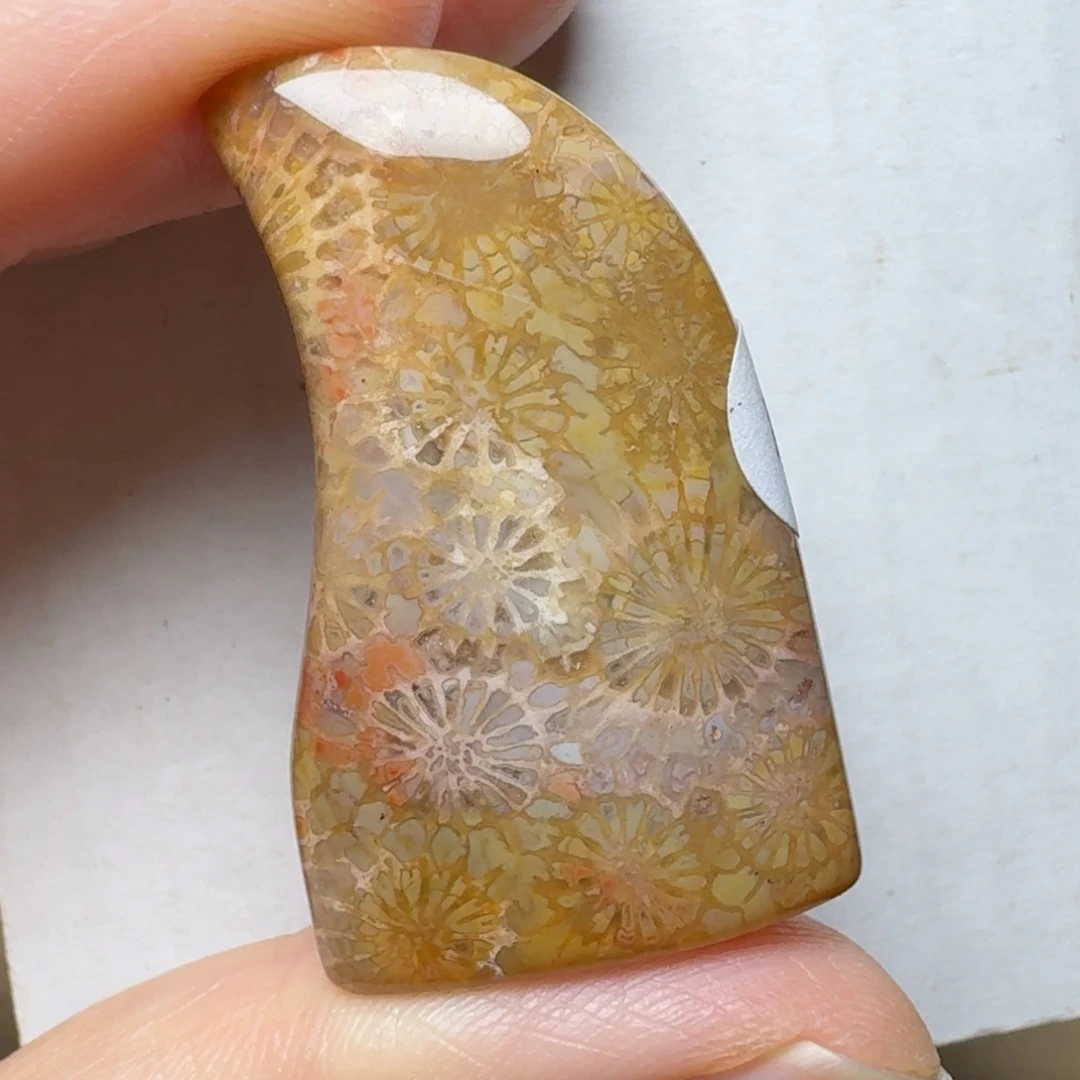 硅化玉复古油画风大花，鲨鱼板未镶嵌