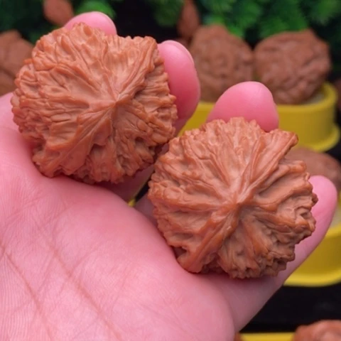 灯笼39全品1111111