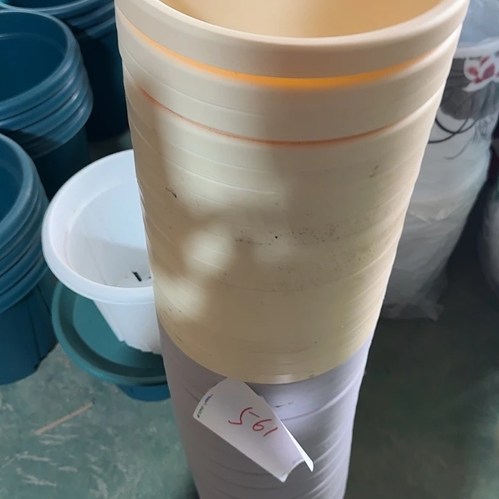 球根26口径8个无托米黄