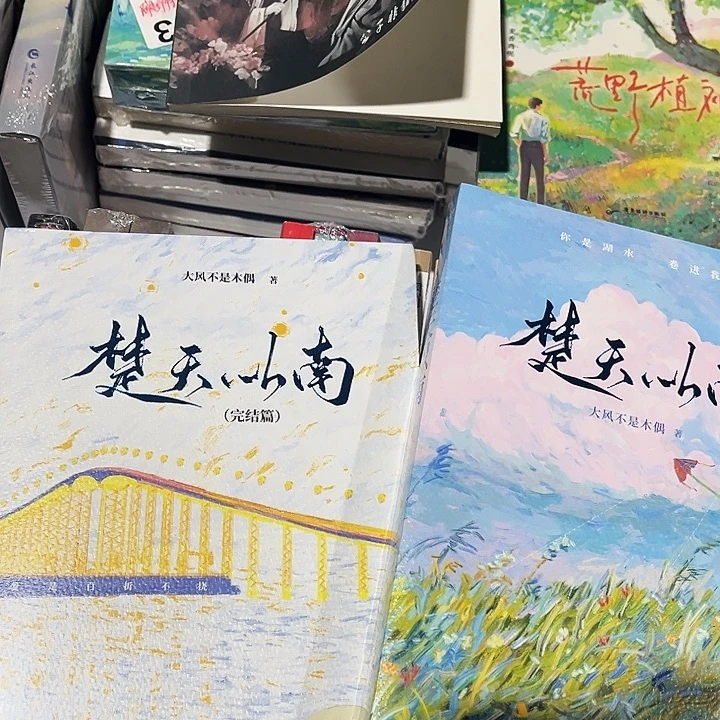 楚天以南全新正版全套