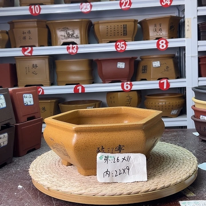 紫砂花盆蛇年大吉