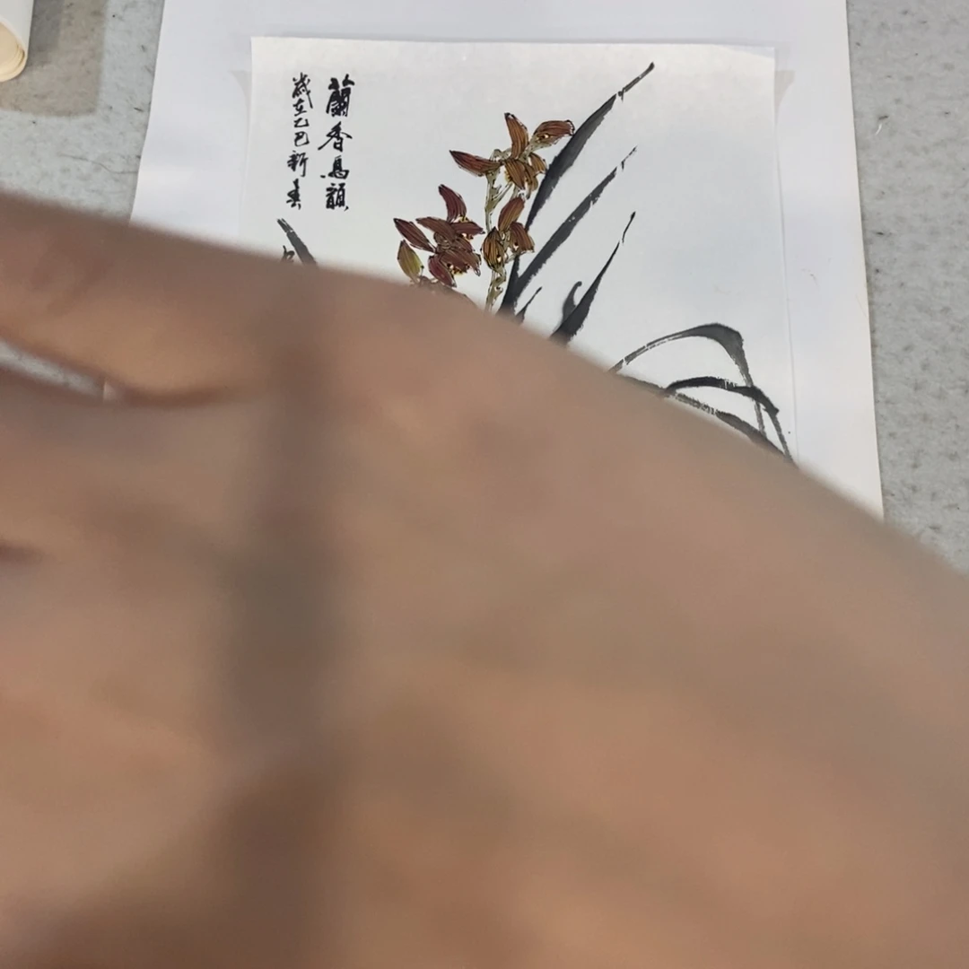 【闪购商品】国画用****0墨鱼精品墨鱼精品