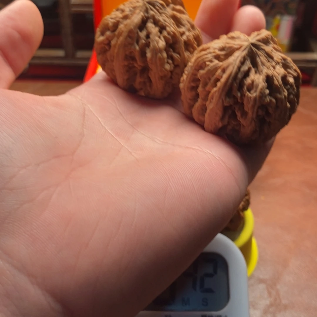 你***爸文玩一玩好嘛哈啊