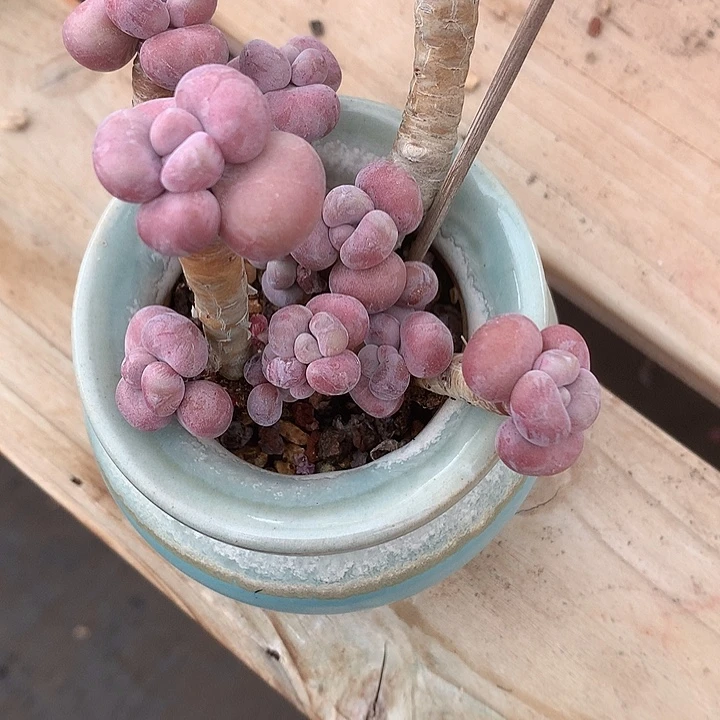 水***鱼所落寞叫我录用困昆明