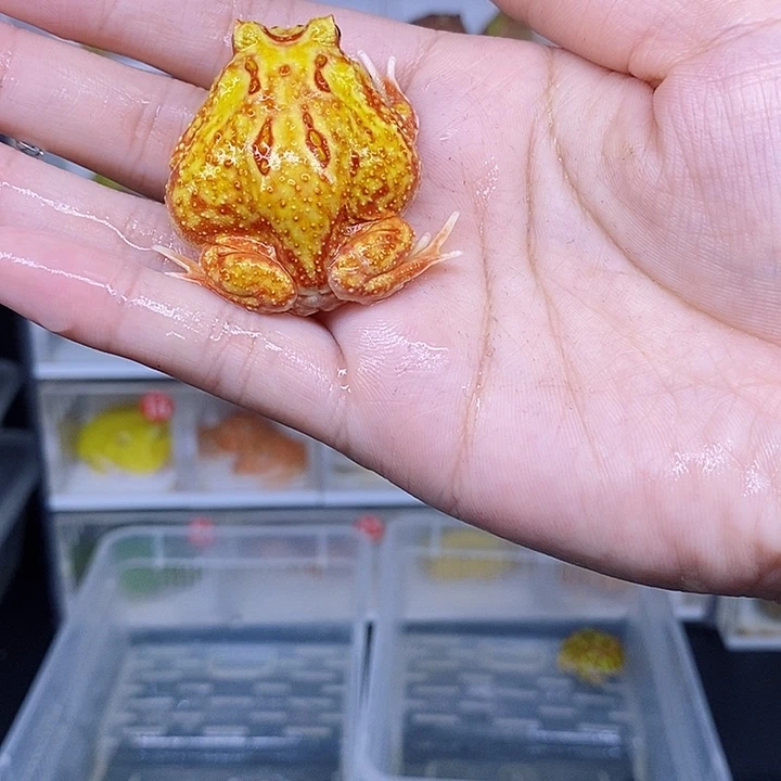 特价秒杀现货特价