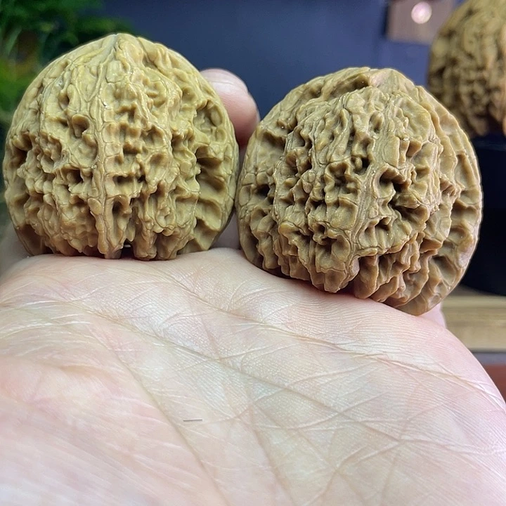 双色球村疆物美价廉物超所值