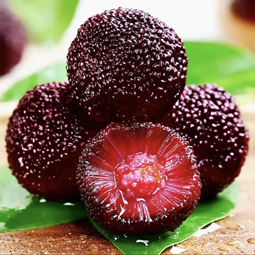 东魁大杨梅新鲜当季水果现摘大果礼盒新鲜多汁甜