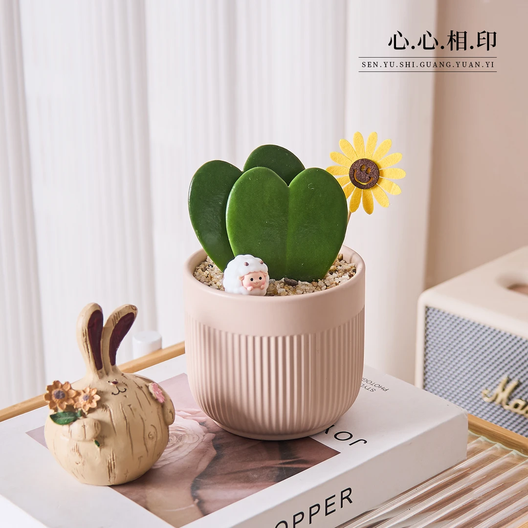 【心心相印】心叶球兰两片心盆栽办公室内桌面绿植耐旱好养植物送礼