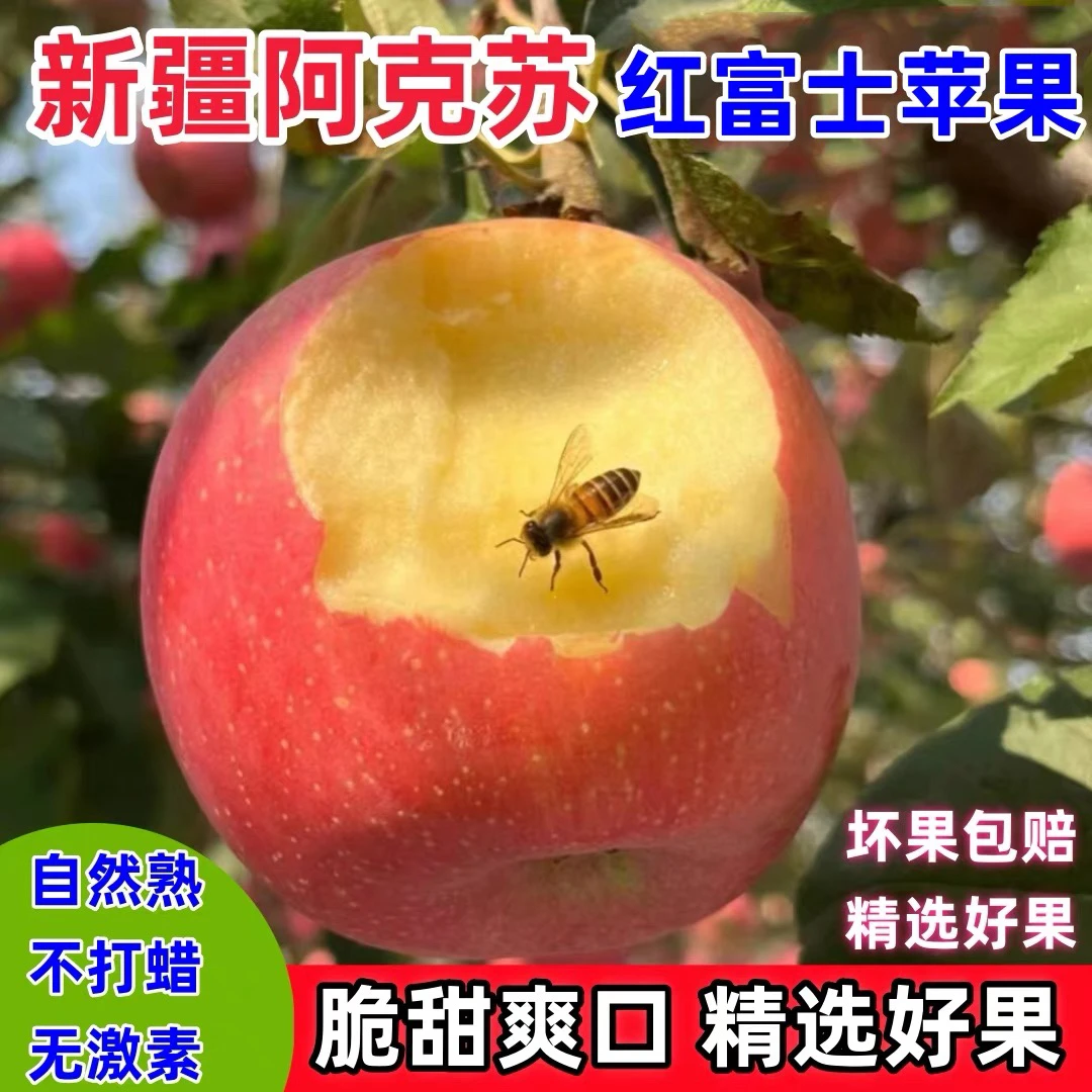 阿克苏红富士苹果京东包邮乌鲁木齐昌吉石河子五家渠克拉玛依包邮新疆维吾尔自治区