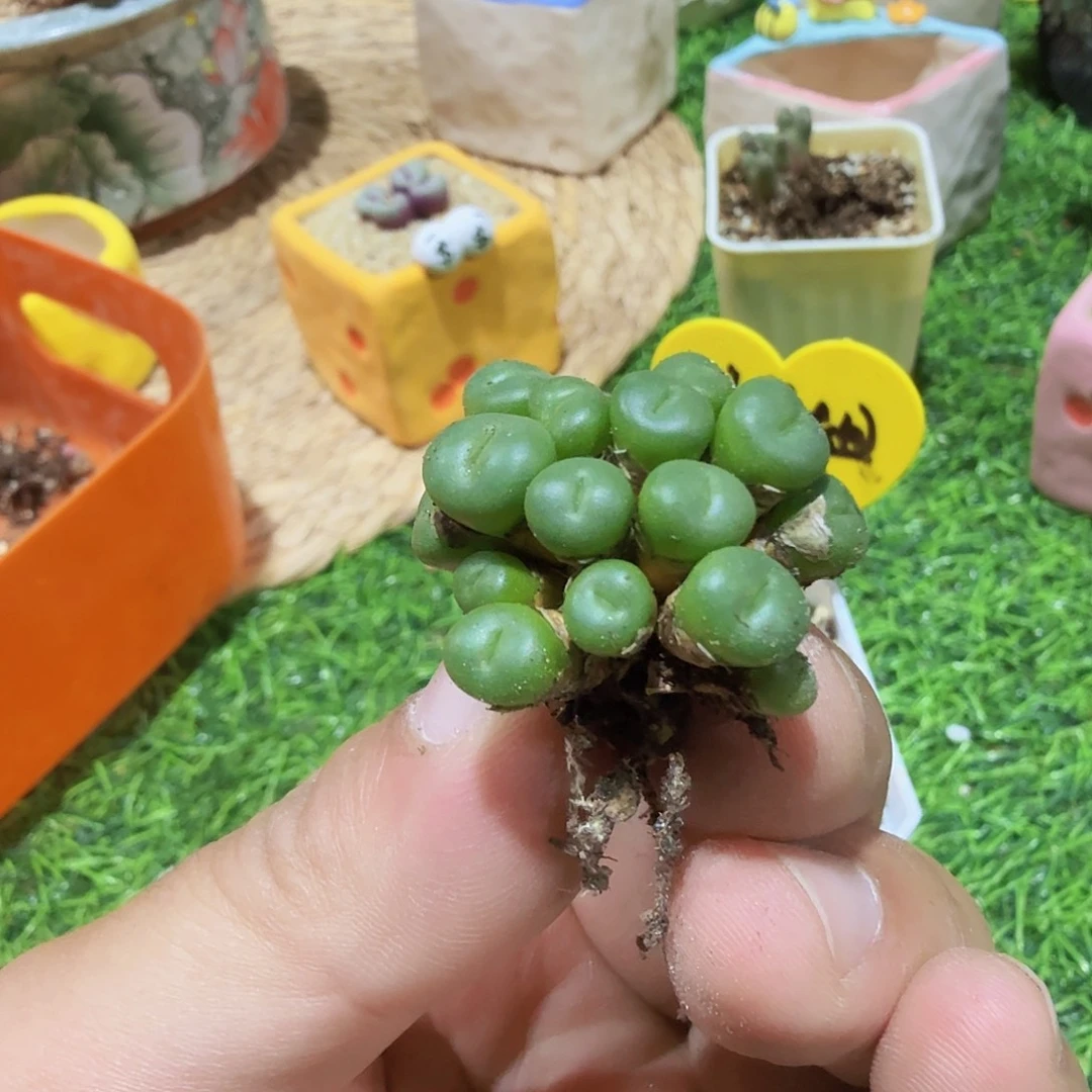 ****的啊啊啊啊啊啊啊啊啊啊