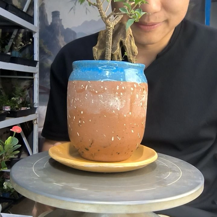 荷*中青园艺一物一拍296