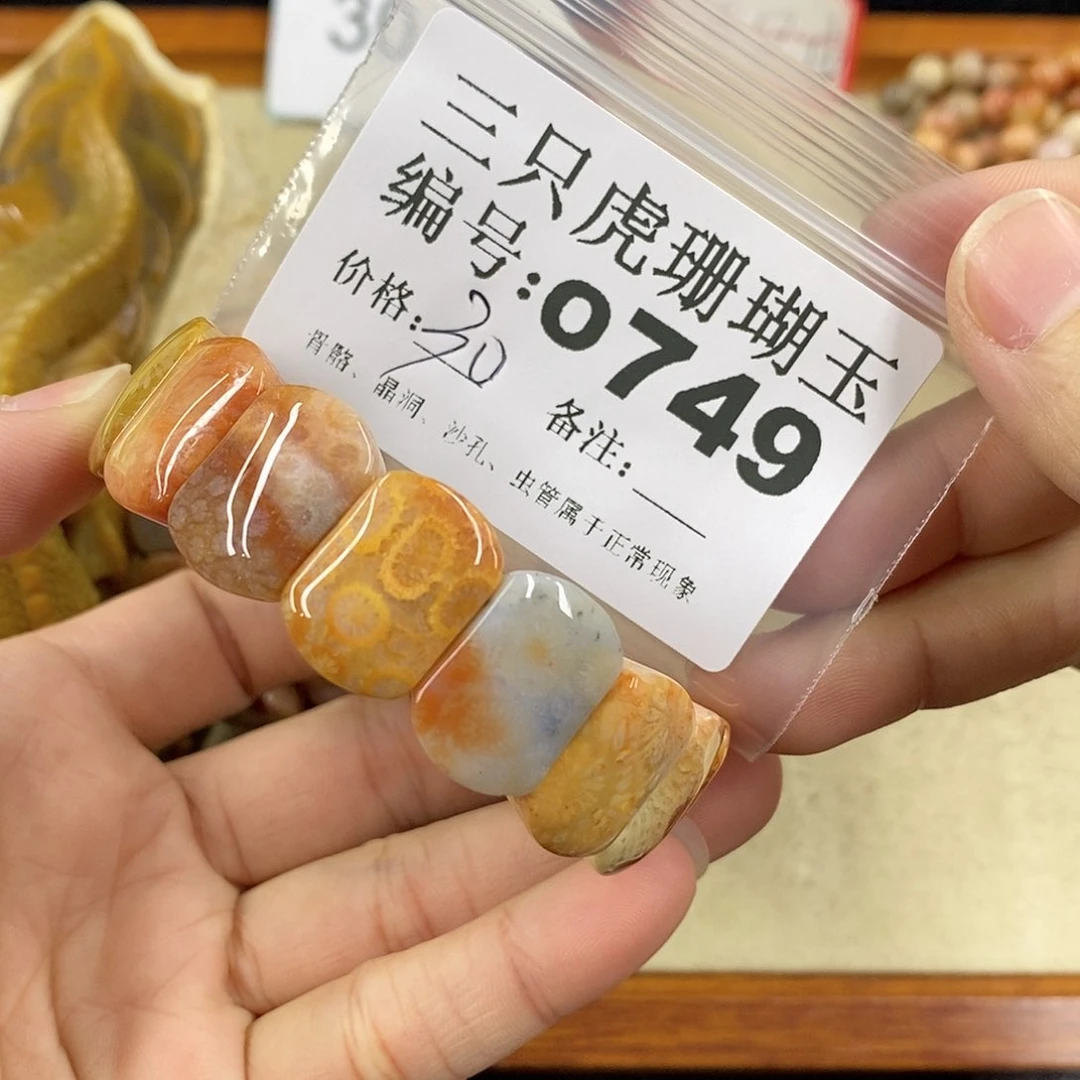 硅化珊瑚（珊瑚玉）1未镶嵌石*