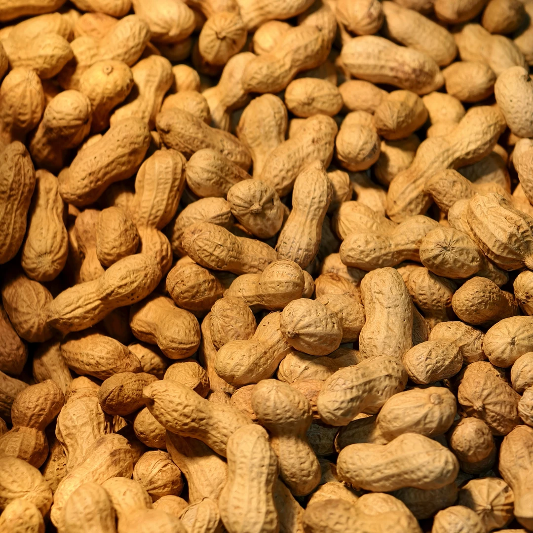 原味花生  约 500g/份量