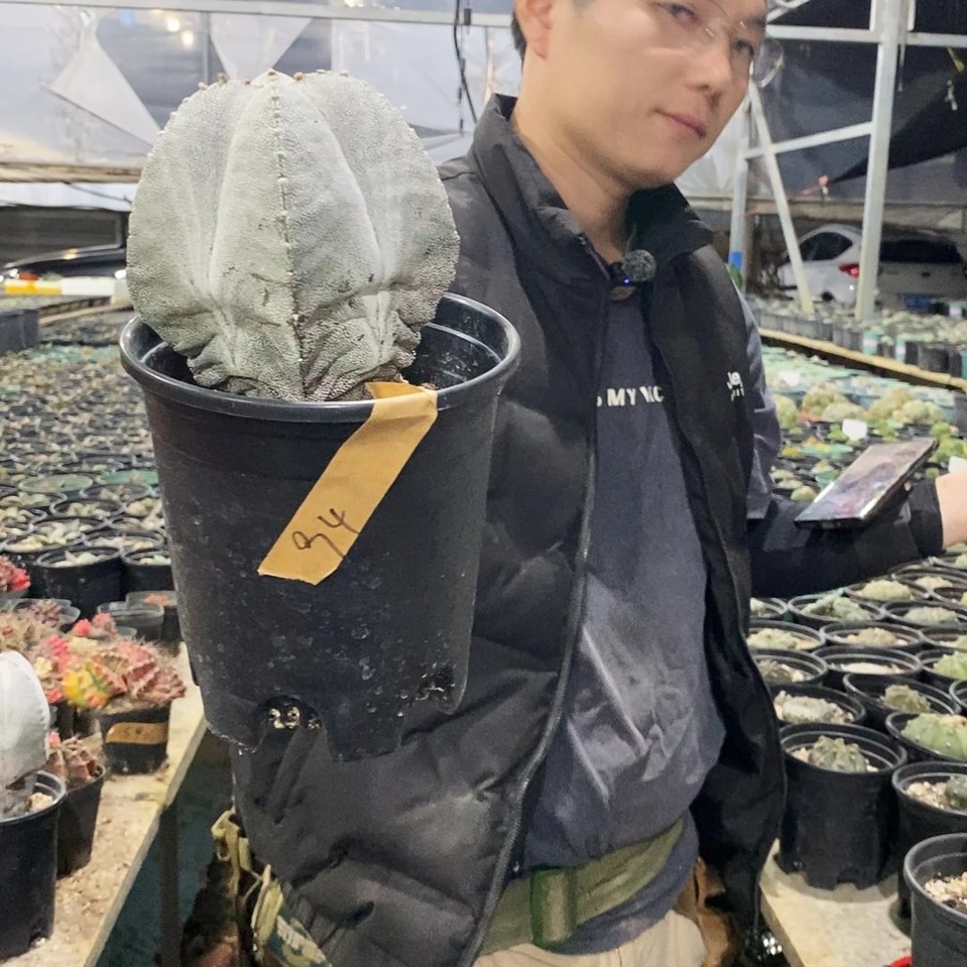 木***里94号选手。