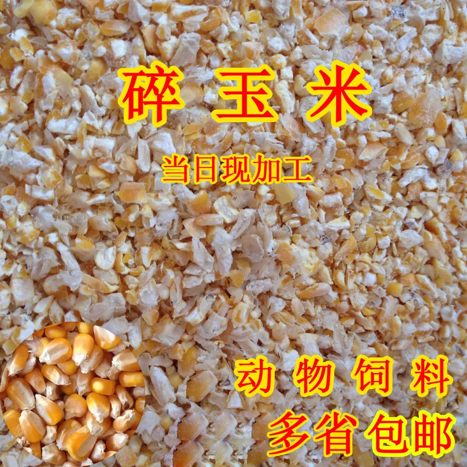 2024年碎玉米渣50斤装碎玉米粒鸡鸭饲料钓鱼打窝鸽子饲料包邮