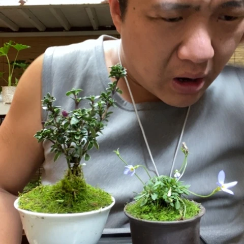 红陶时****？一物一拍所见即所得123