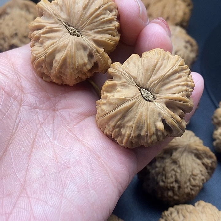 吊坠龙脊菩提元宝40