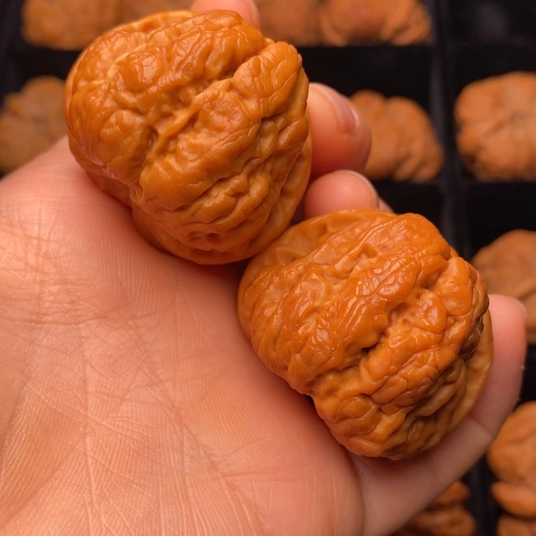 文玩核桃把件秦岭野生核桃
