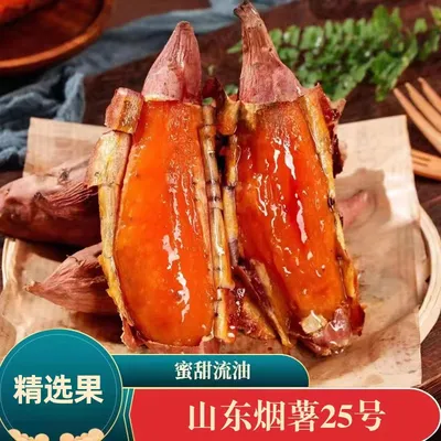 【乡小二】山东蜜薯烟薯25号糖心红薯番薯软糯香甜地瓜烤红薯5