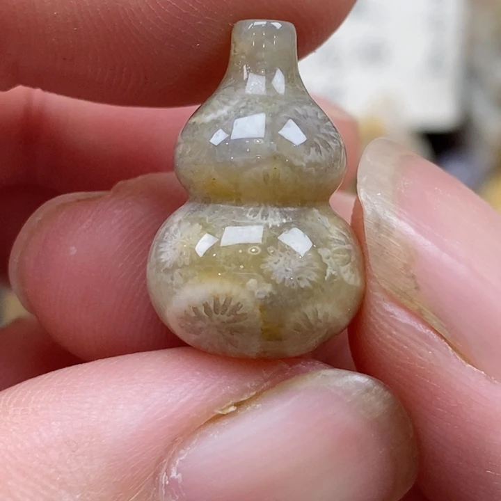 颈饰未镶嵌硅化珊瑚（珊瑚玉）没打孔 小