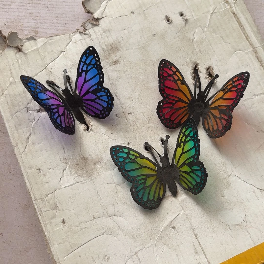 核桃木/黑胡桃（胡桃木）