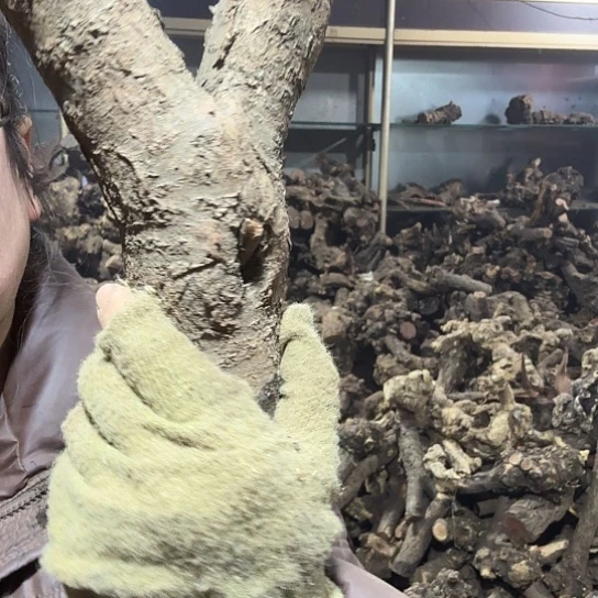 香榧木?****火琉璃的故事毛料摆件