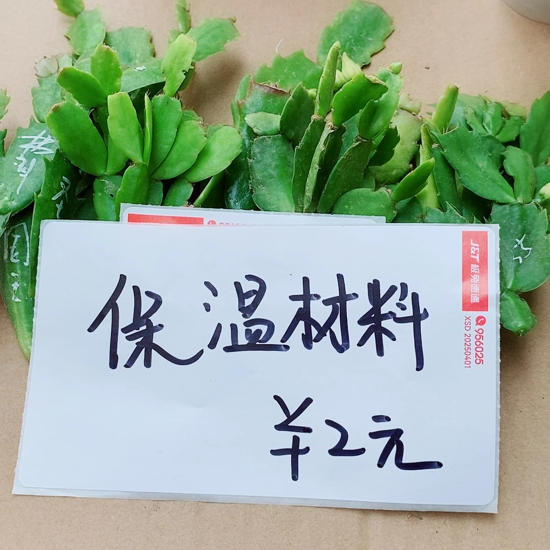 无花朵保温材料需要去拍