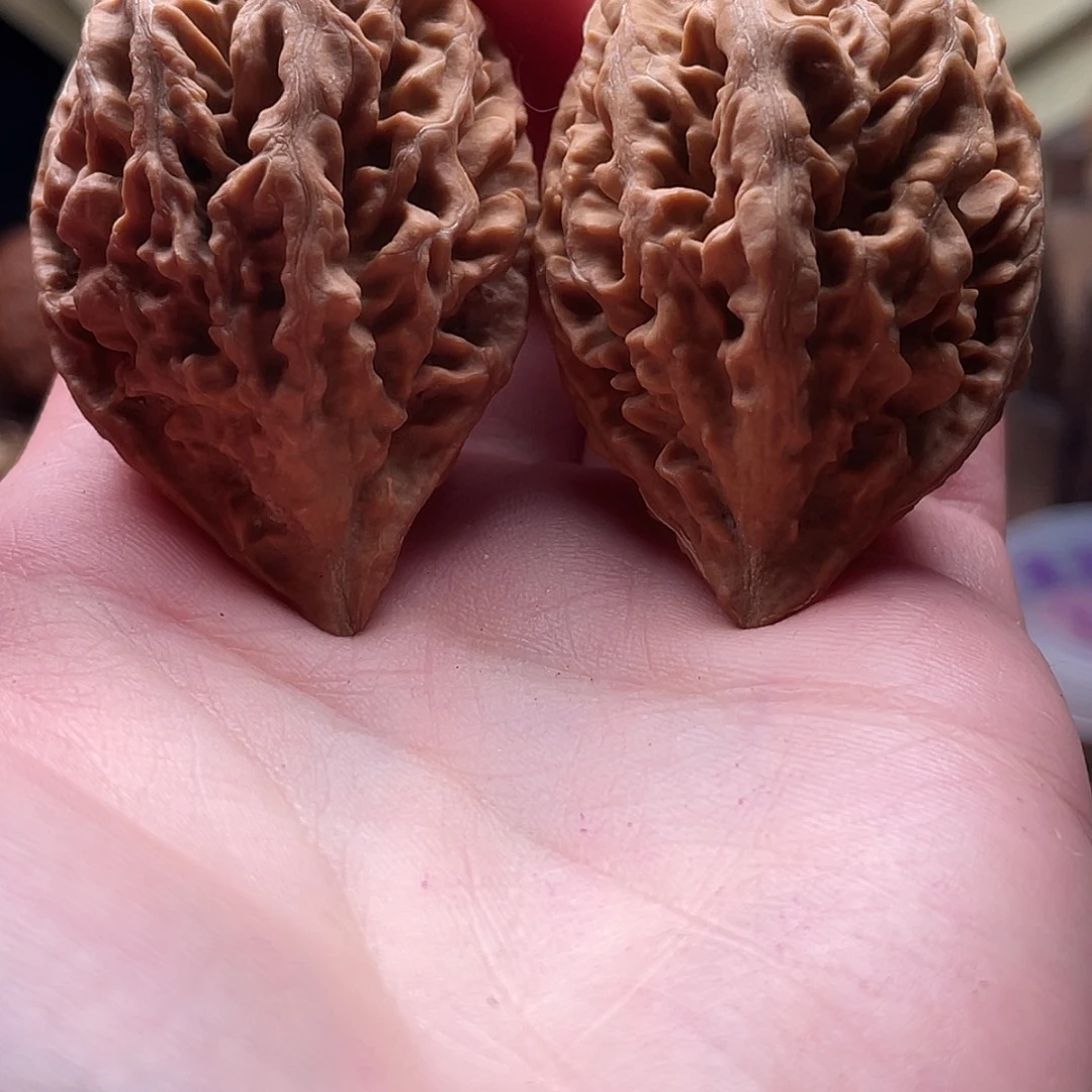 文玩核桃把件楸刀鱼113