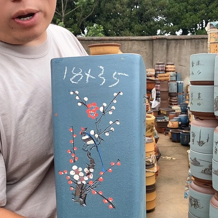 紫砂花盆盆栽植物