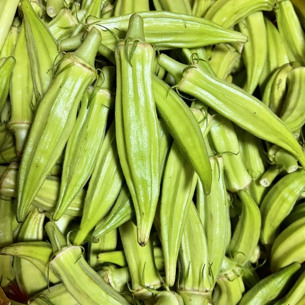 【顺丰包邮】萍乡本地洋辣椒 秋葵