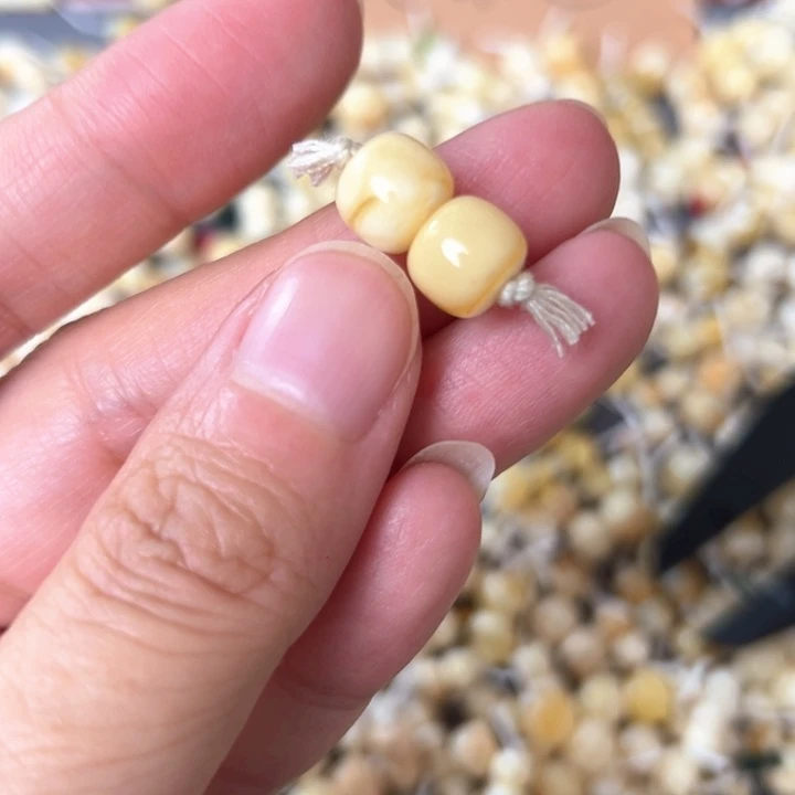 蜜蜡未镶嵌裸石8.5mm一对