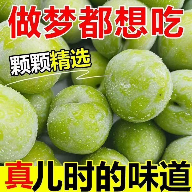 正宗重庆脆李 青脆李脱骨李新鲜应季水果5斤装15-29g混装清甜爽口