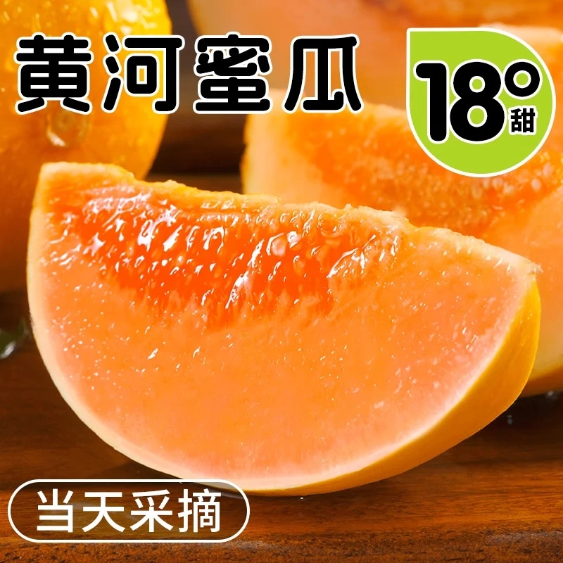 正宗甘肃民勤头茬黄河蜜瓜当季新鲜水果金红宝香瓜黄金蜜瓜现摘发