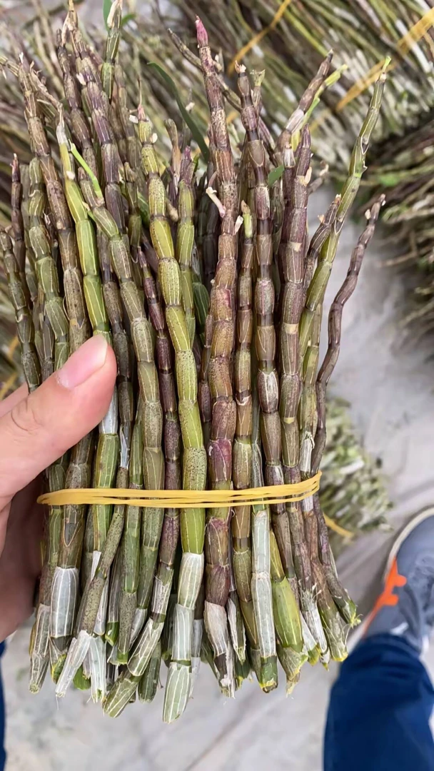 自家种植野生铁皮石斛，健康之选