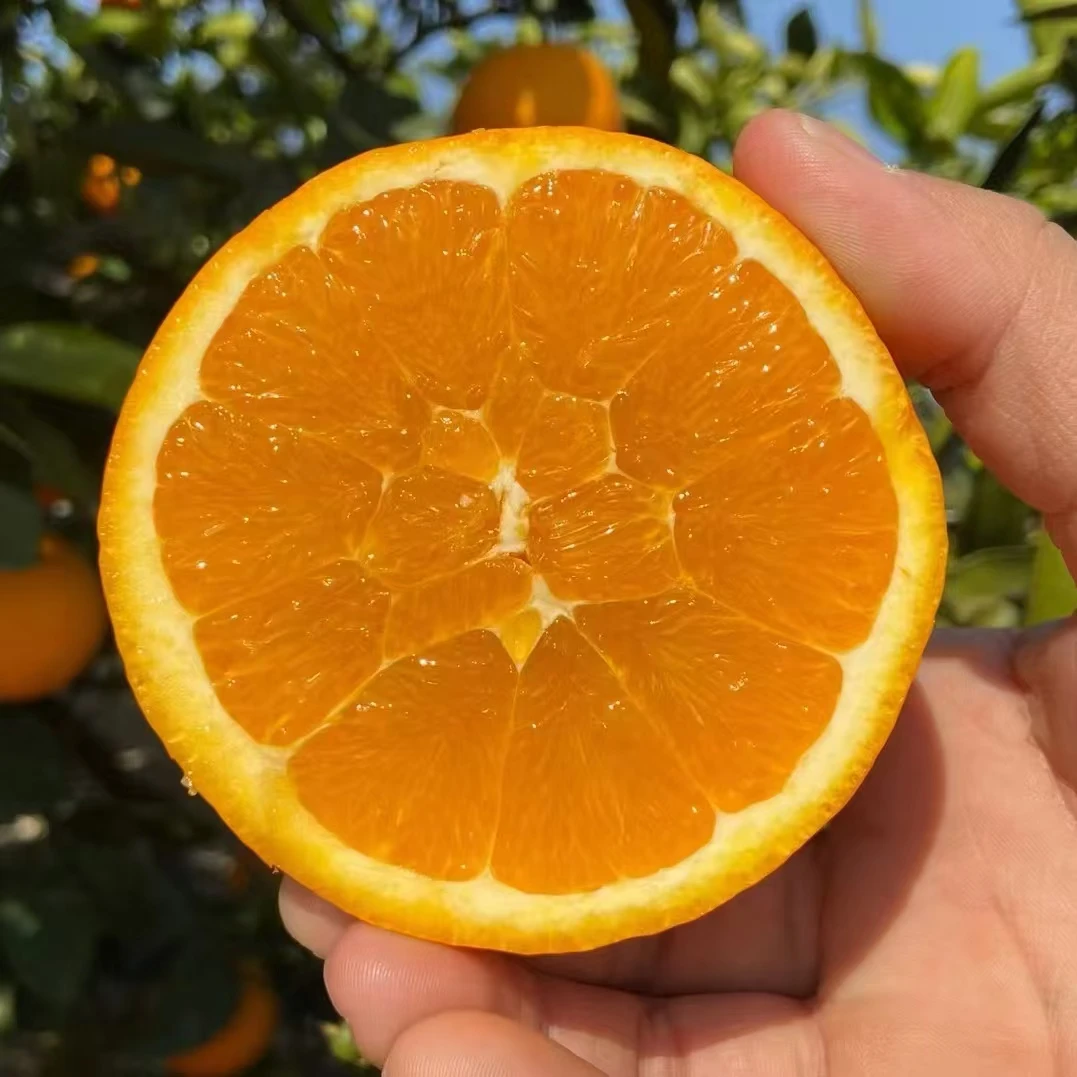 （坏果包赔）奉节脐橙72-1鲜果5斤/10斤/20斤现摘非江西赣州脐橙