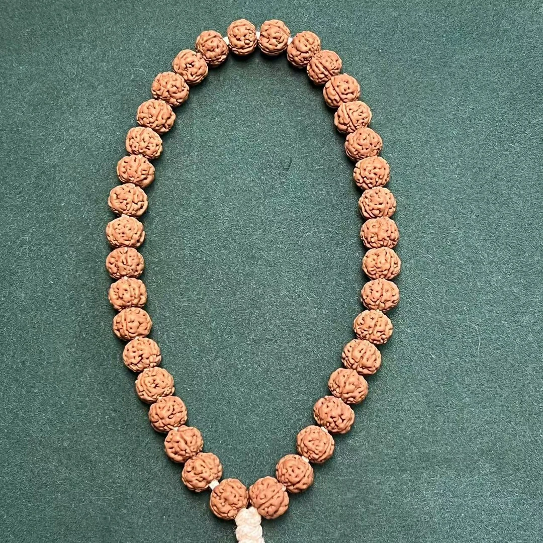 s8425-1【老树王】头货精挑黄皮小尺寸老树矮南瓜双龙小金刚单圈