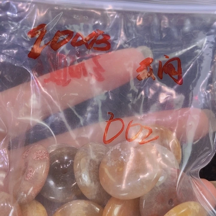 硅化珊瑚（珊瑚玉）未镶嵌颈饰?***?