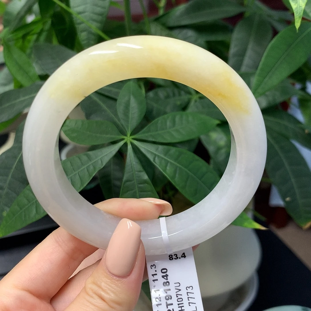 未镶嵌手镯翡翠天然缅甸翡翠