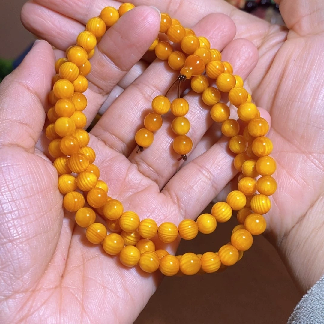 贝壳杉帝王血龙木0.6高货