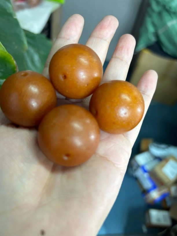 29-30单珠多样性发其一