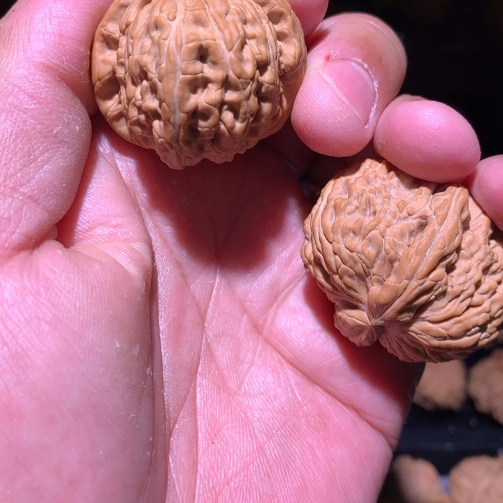 文玩核桃吊坠38-40白狮子